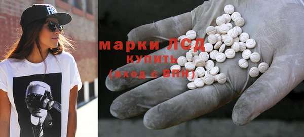 индика Абаза