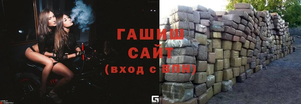 индика Абаза
