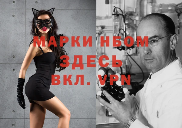 индика Абаза