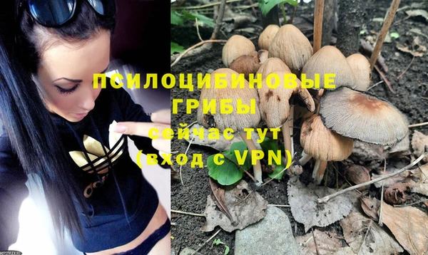 индика Абаза