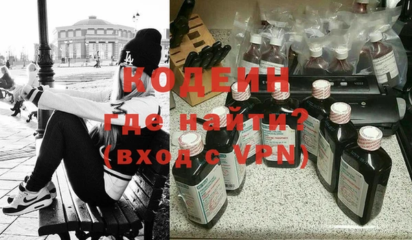 индика Абаза