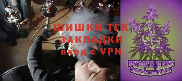 индика Абаза