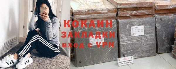 индика Абаза