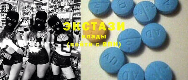 индика Абаза