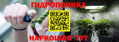 меф Краснознаменск