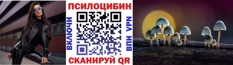 Галлюциногенные грибы Magic Shrooms  hydra ССЫЛКА  Кисловодск 