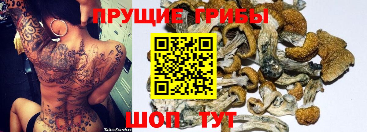 Псилоцибиновые грибы ЛСД Кисловодск