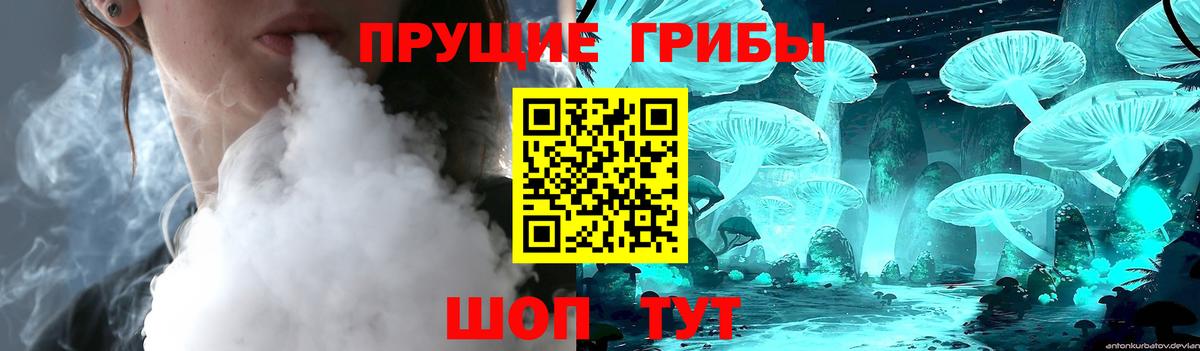 магазин продажи   Псилоцибиновые грибы Psilocybe  Вход с VPN  Кисловодск 